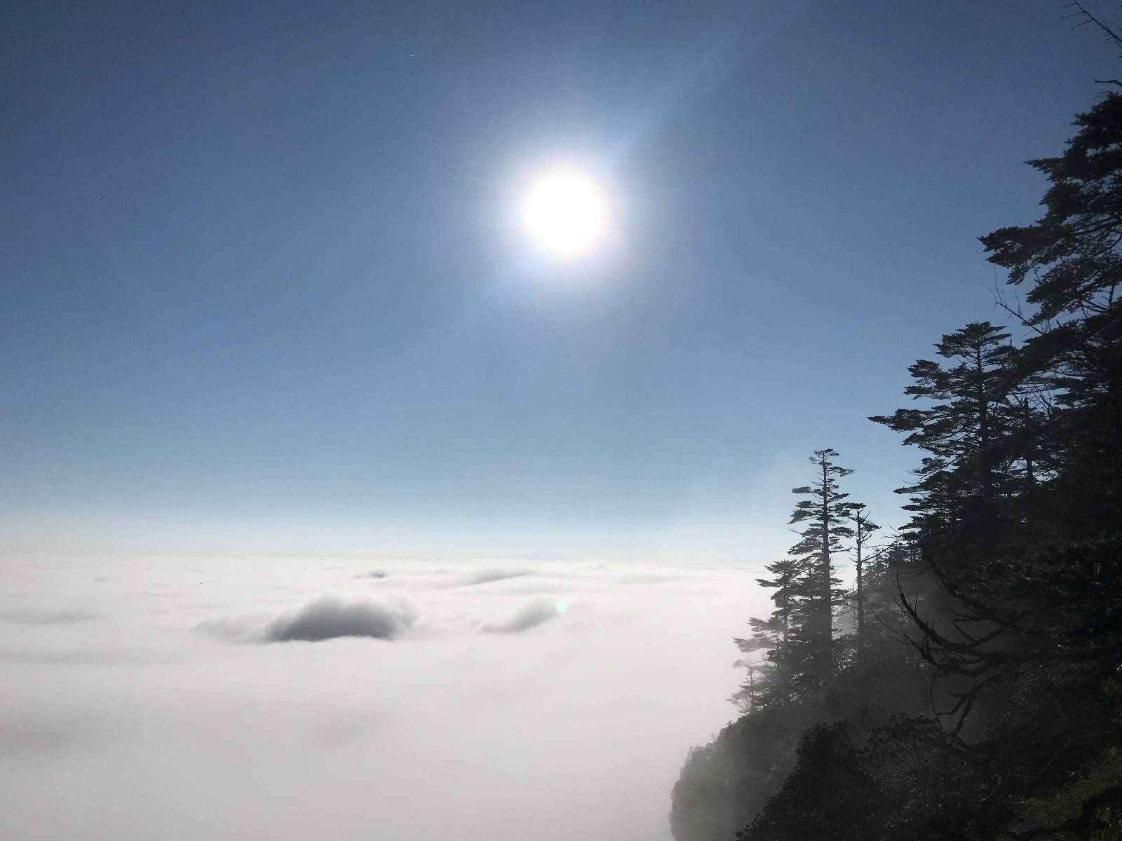 1583409378486131.jpg 1583409378486131.jpg